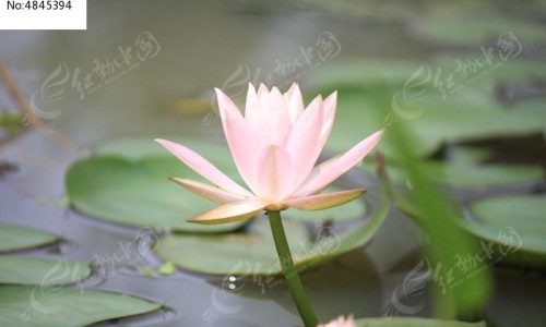 头晕咳嗽低烧吃什么药效果好-专业头晕咳嗽发烧吃什么药平台-头晕咳嗽发烧吃什么药