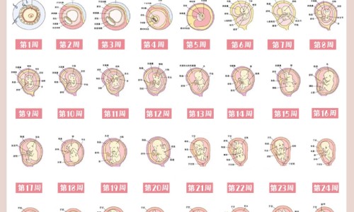 头晕咳嗽低烧吃什么药效果好-专业头晕咳嗽发烧吃什么药平台-头晕咳嗽发烧吃什么药